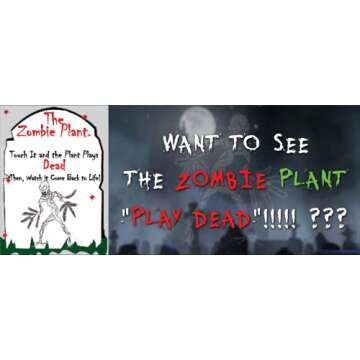 Zombie Plant Seed Packets (2) – Grow Your own Live Zombie Plant! Watch it Play Dead When Touched. Comes Back to Life in Minutes! Educational STEM, and Interactive Indoor Fun or Party Favor