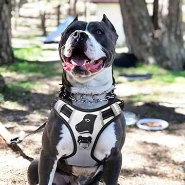 BABYLTRL Dog Cone Collar for After Surgery, Inflatable Pet Recovery Collar for Dogs and Cats, Soft Protective Recovery Cone to Prevent Pets from Touching Stitches, Wounds and Rashes (XS, Black)