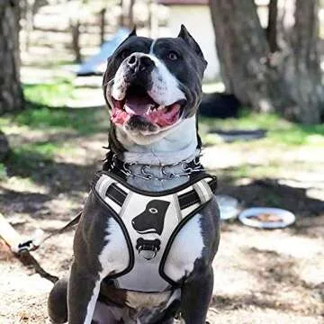 BABYLTRL Dog Cone Collar for After Surgery, Inflatable Pet Recovery Collar for Dogs and Cats, Soft Protective Recovery Cone to Prevent Pets from Touching Stitches, Wounds and Rashes (XS, Black)