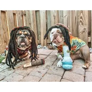 Nestpark Puppy Chiefer 3000 - Funny Dog Toys - Plush Squeaky Weed for Medium, Small and Large - Cute Dog Gifts for Dog Birthday - Cool Stuffed Dog Toys