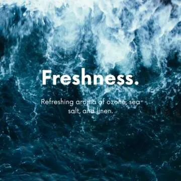 The Diamond Life Home "Sea Mist"Cotton Blossom & Beach Linen, Carpet Powder & Upholstery Freshener With Room Deodorizer, Air/Fabric/Linen Mist Odor Eliminator For Homes With Kids & Pets Bundle