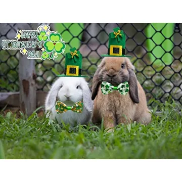 Adorable Small Animal St. Patrick's Day Costume Set