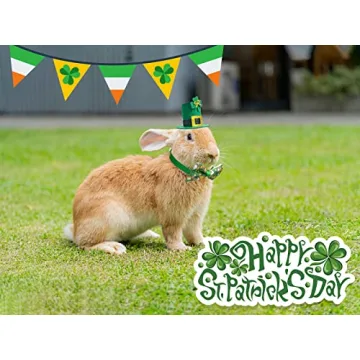 Adorable Small Animal St. Patrick's Day Costume Set