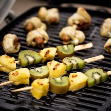 Buy Weber Q1200 Portable Grill for Perfect BBQ Experience