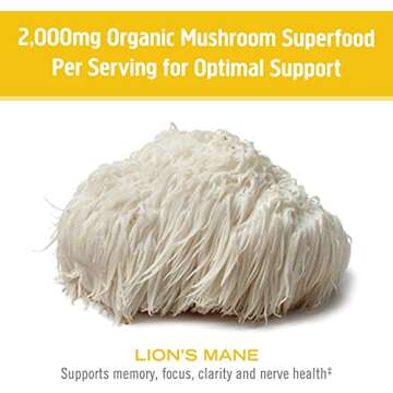 OM Mushroom Superfood Lion's Mane Mushroom Capsules Superfood Supplement, 180 Count, 60 Days, Fruit Body and Mycelium Nootropic for Memory Support, Focus, Clarity, Nerve Health, Creativity and Mood