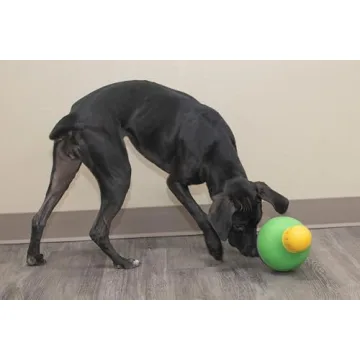 Durable Starmark Treat Dispensing Dog Toy