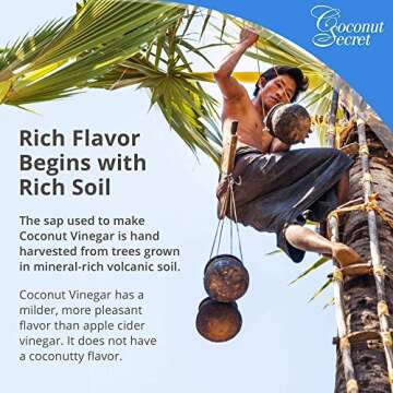 Coconut Secret Organic Raw Coconut Vinegar, 12 oz