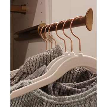 TAG Hardware Premium Pullout Closet Valet Rod in Gold