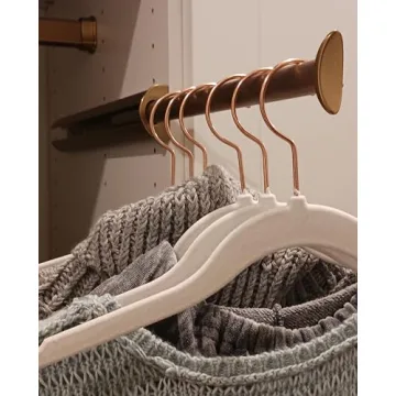 TAG Hardware Premium Pullout Closet Valet Rod in Gold