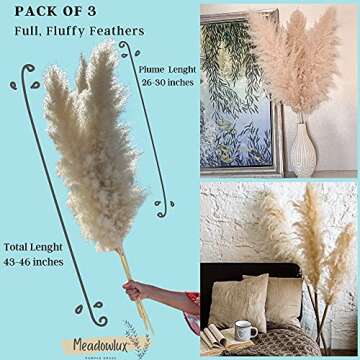 Meadowlux Tall Dried Pampas Grass - Premium 3 Stems 43-46", Fluffy Feathers for Vase, Modern Farmhouse Decor, Rustic Home Decor or Boho Decor, Natural Dried Plant for Wedding Decor - Light Beige