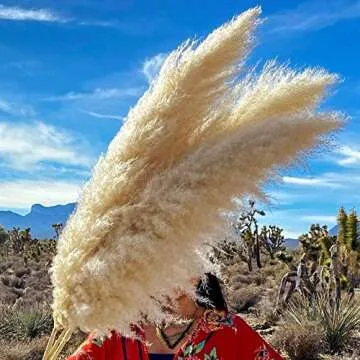 Meadowlux Tall Dried Pampas Grass - Premium 3 Stems 43-46", Fluffy Feathers for Vase, Modern Farmhouse Decor, Rustic Home Decor or Boho Decor, Natural Dried Plant for Wedding Decor - Light Beige