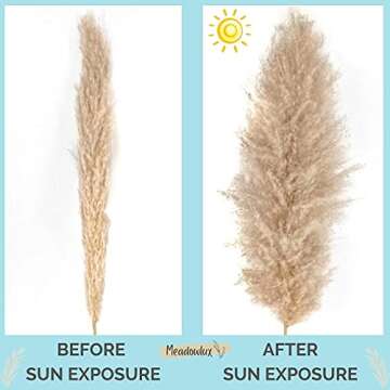 Meadowlux Tall Dried Pampas Grass - Premium 3 Stems 43-46", Fluffy Feathers for Vase, Modern Farmhouse Decor, Rustic Home Decor or Boho Decor, Natural Dried Plant for Wedding Decor - Light Beige