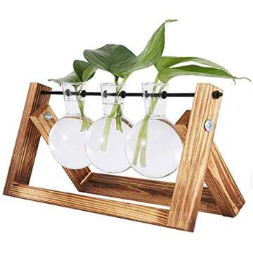 NERKT Hydroponic Plant Terrarium with Wooden Stand