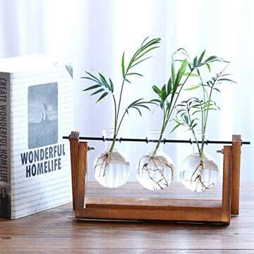 NERKT Hydroponic Plant Terrarium with Wooden Stand