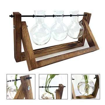 NERKT Hydroponic Plant Terrarium with Wooden Stand
