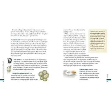 Curious Kids Nature Guide: Explore the Amazing Outdoors of the Pacific Northwest