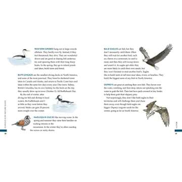 Curious Kids Nature Guide: Explore the Amazing Outdoors of the Pacific Northwest