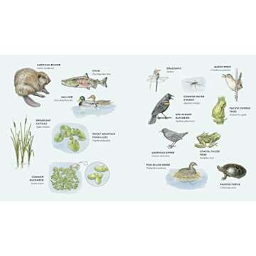 Curious Kids Nature Guide: Explore the Amazing Outdoors of the Pacific Northwest