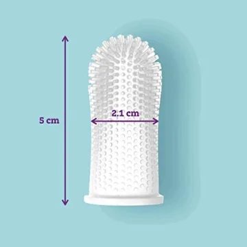 Itsy Bitsy People Baby Toothbrush for Ages 6 to 4