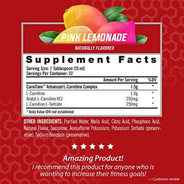 iSatori L-Carnitine LS3 1500 - Triple-Blend Liquid Energy Booster, Keto-Friendly, 32 Servings