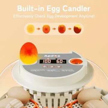 12-Egg Incubator with Automatic Turning and Humidity Control