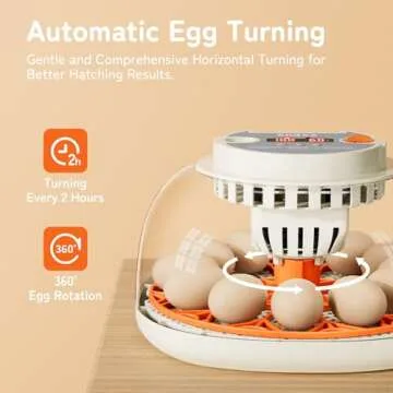 12-Egg Incubator with Automatic Turning and Humidity Control