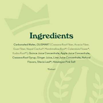 Olipop Prebiotic Soda – Delicious Ginger Ale Pack