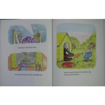 Sheila Rae, the Brave - A Children's Classic Book