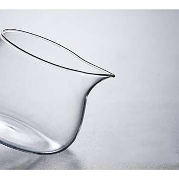 Elegant RORA Glass Tea Set for Perfect Tea Brewing