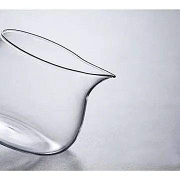 Elegant RORA Glass Tea Set for Perfect Tea Brewing