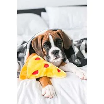ZippyPaws Squeakie Emojiz Pizza Slice