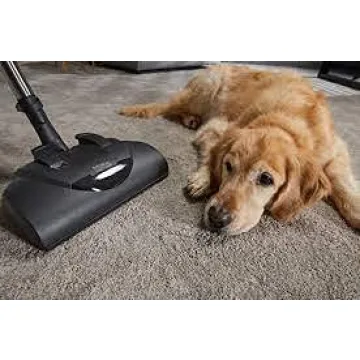 Miele Classic C1 Cat and Dog Canister HEPA Vacuum Cleaner with SEB228 Powerhead Bundle - Includes Performance Pack 16 Type GN AirClean Genuine FilterBags + Genuine HEPA Filter