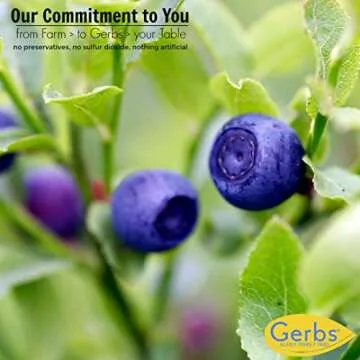 GERBS Dried Blueberries | Gluten-Free & Allergen-Free Snack