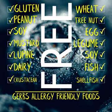 GERBS Dried Blueberries | Gluten-Free & Allergen-Free Snack