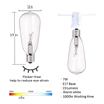 Outdoor String Lights 20FT with Edison Bulbs for Parties