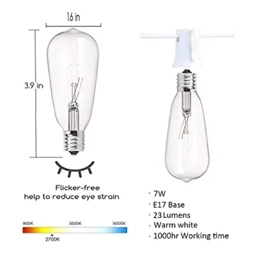 Outdoor String Lights 20FT with Edison Bulbs for Parties