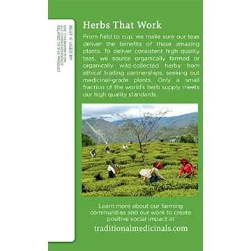 Organic Green Tea Ginger Herbal Tea for Healthy Digestion