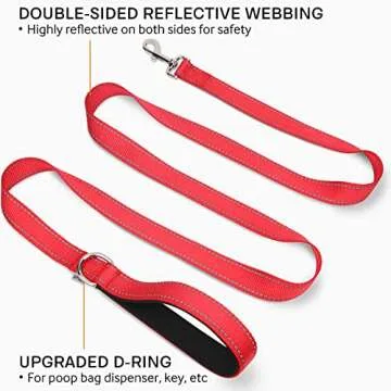 Joytale Double-Sided Reflective Dog Leash, Comfortable Padded Nylon for Safety, 6FT Red