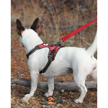 Joytale Reflective Dog Leash for Safe Night Walks