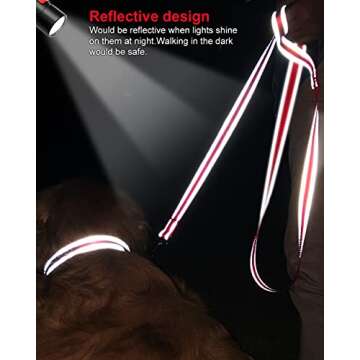 Joytale Reflective Dog Leash for Safe Night Walks