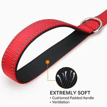Joytale Reflective Dog Leash for Safe Night Walks