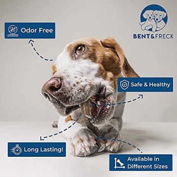 Bent & Freck Antler Chews for Dogs - Safe, Odorless Treats