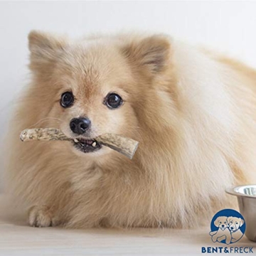 Bent & Freck Antler Chews for Dogs - Safe, Odorless Treats