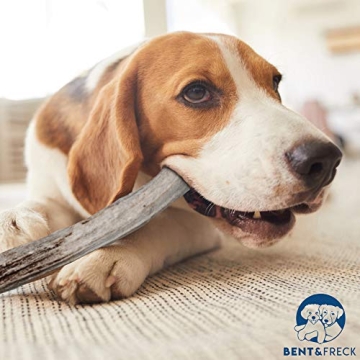 Bent & Freck Antler Chews for Dogs - Safe, Odorless Treats