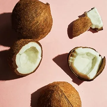 Coconut Butter Body Wash 4 Pack - Exfoliating Cleanser