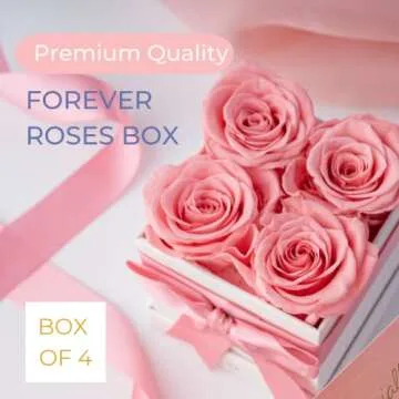 AROMEO Pink Roses | Timeless Preserved Fresh Flowers for All Occasions