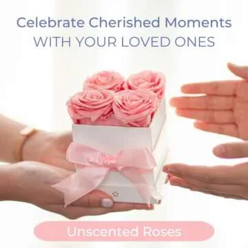 AROMEO Pink Roses | Lasting Preserved Flower Gift