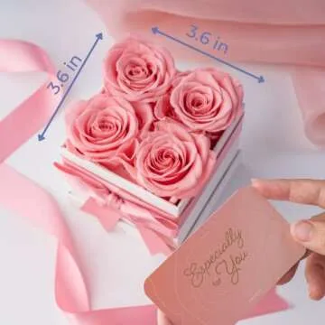 AROMEO Pink Roses | Lasting Preserved Flower Gift