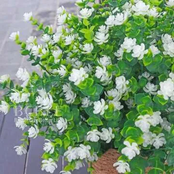 BCBLF Artificial Flowers - 12 Bundles UV Resistant Realistic Decor