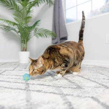 Colorful Jingly Balls for Cats - Affordable Fun